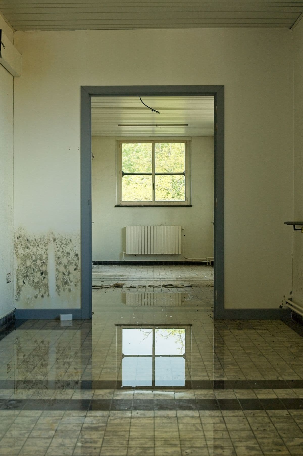 Der Ablauf der Wasserschadensanierung